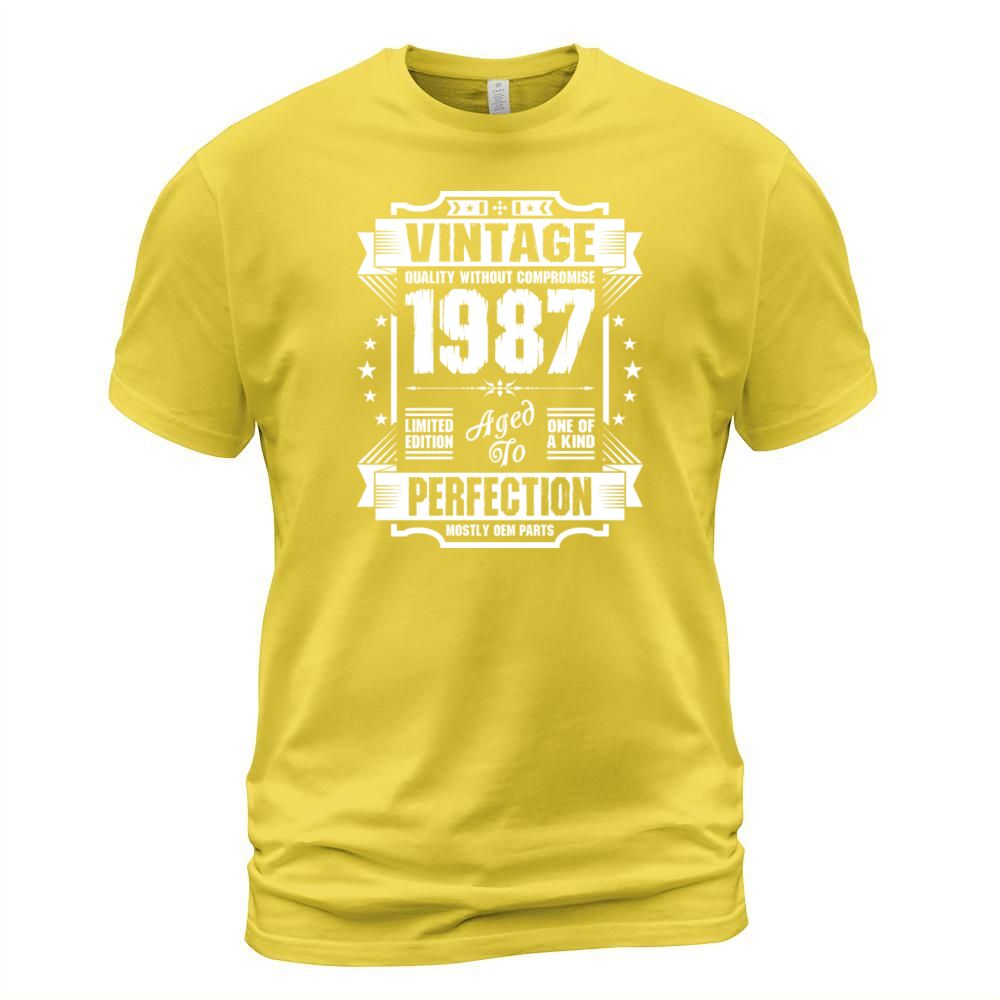 Vintage 1987 Perfection Men's T-Shirt
