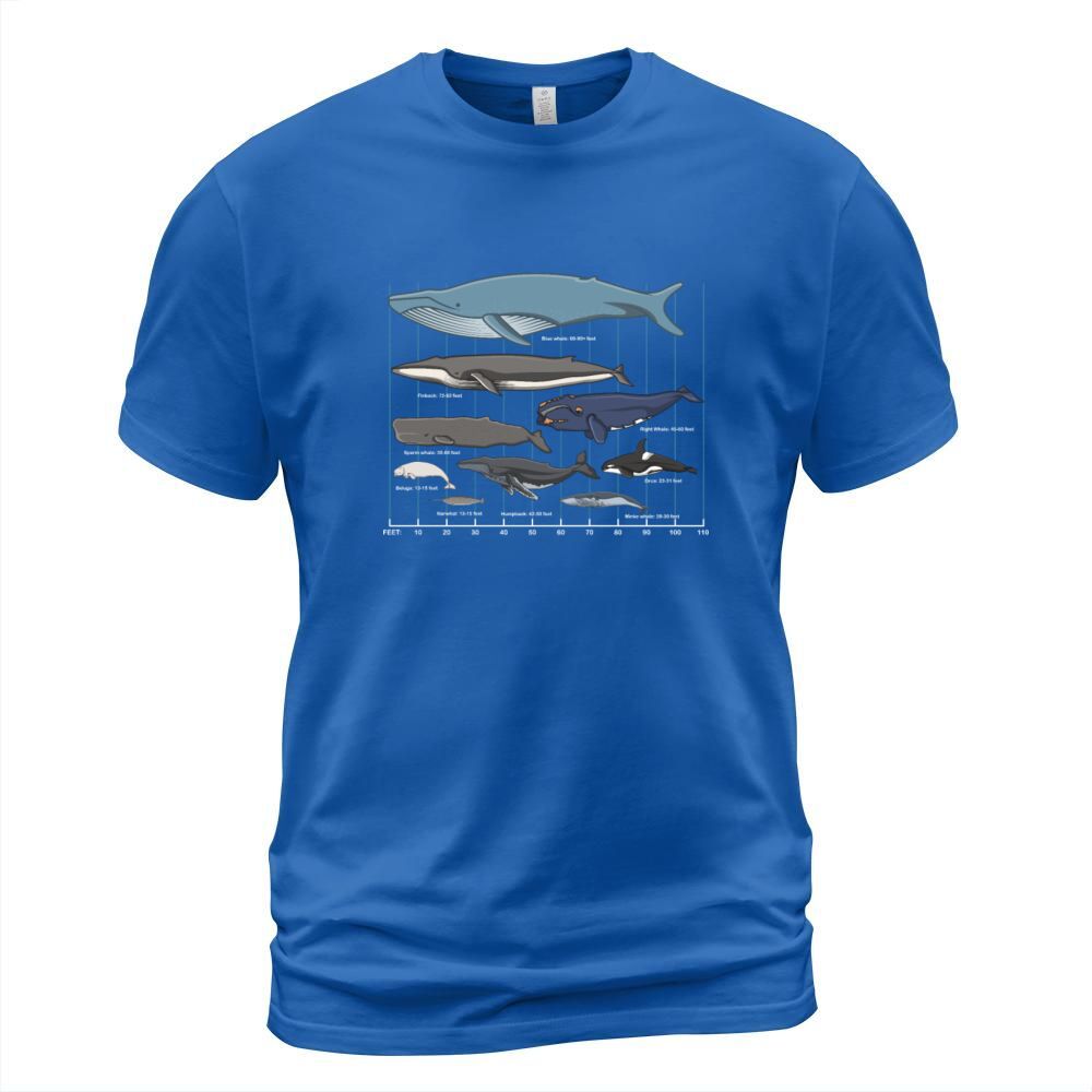 Types Of Whales Cute Ocean Mammals Guide Men's T-Shirt