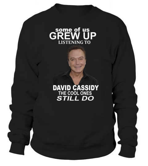 SOME OF US GREW UP LISTENING TO DAVID CASSIDY Sweatshirt Unisex