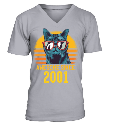 Cats Birthday Awesome Since 2001 Funny Gift V-Neck T-shirt