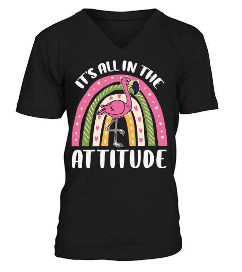 Its all in the attitude V-Neck T-shirt