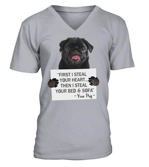 Pug Shirt V-Neck T-shirt