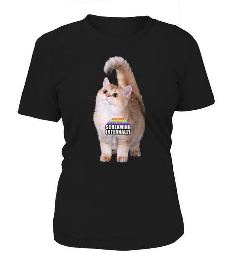 Screaming Internally Rainbow Kitten Funny Graphic T-Shirt Women's T-Shirt