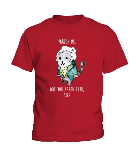 Pardon Me Are You Aaron Purr Sir Kids T-Shirt