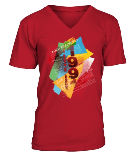 30th Birthday Born 1991 Birthday Vintage 1991 V-Neck T-shirt