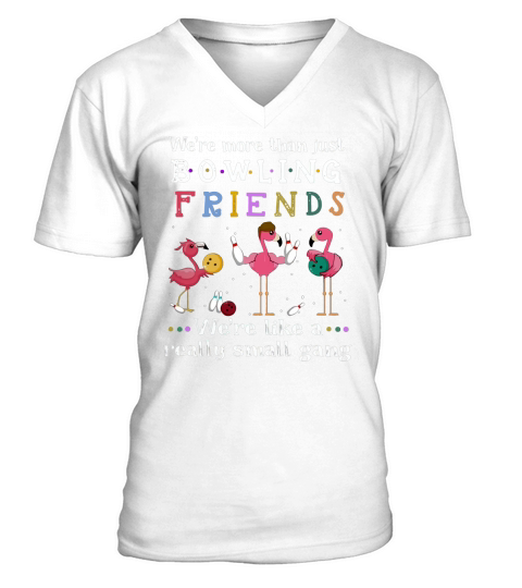 Flamingos we’re more than just bowling friends we’re like a shirt V-Neck T-shirt