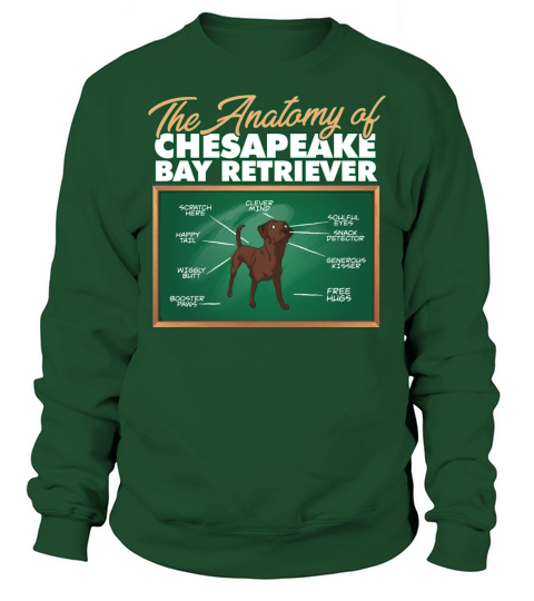 Anatomy Of A Chesapeake Bay Retriever I Funny Sweatshirt Unisex