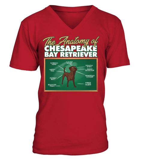 Anatomy Of A Chesapeake Bay Retriever I Funny V-Neck T-shirt