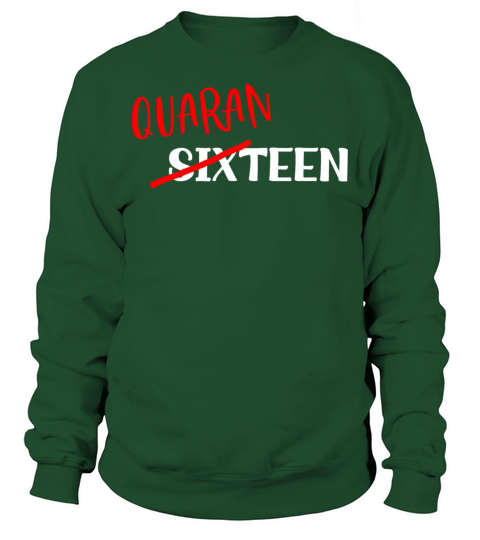 16 Year Old Birthday Gift For Boys and Girls In Qu Sweatshirt Unisex
