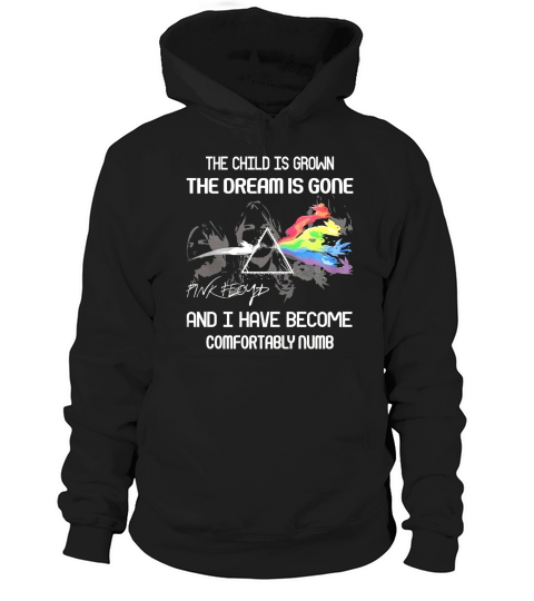 The Child Is Grown The Dream Is Gone Shirt_extract Hoodie Unisex