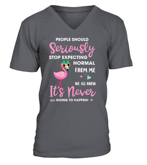 People Should Stop Expecting Normal From Me Flamingo shirt V-Neck T-shirt