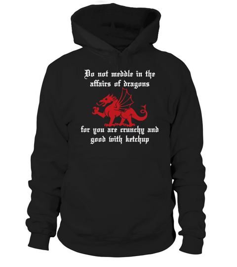 DO NOT MEDDLE IN THE AFFAIRS OF DRAGONS Hoodie Unisex